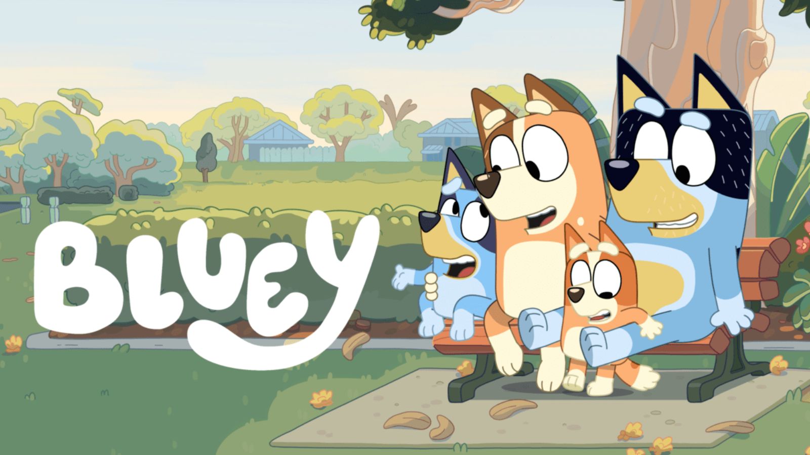 Bluey en Queretaro